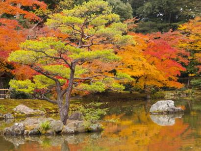 Reise in Japan, Japanischer Garten im Herbstkleid in Kyoto