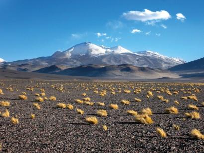 Reise in Chile, Die Weite der Landschaft zu Füßen des Ojos del Salado ist überwältigend.