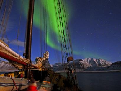 Reise in Norwegen, Orca-Sichtung