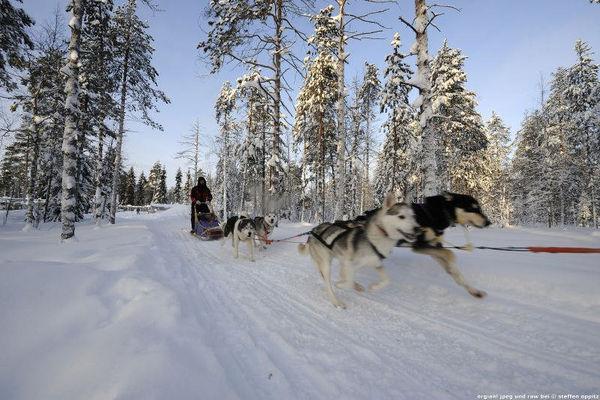 Reise in Finnland, Aktive Winterwoche in Saija