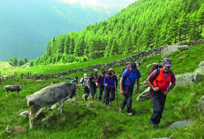 Reise in Deutschland, Allgäu, Österreich & Südtirol: Alpenüberquerung von Oberstdorf nach Meran