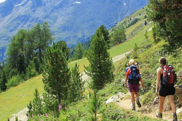 Reise in Österreich, Tirol individuell - Innsbruck Trek Lärchenwiesen, Zirben und Bergsteigerdörfer