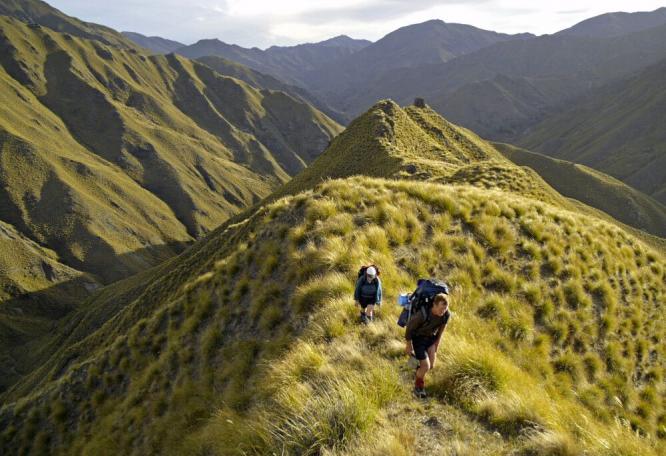 Reise in Neuseeland, Neuseelands schönste Trekkingtouren erleben