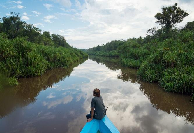 Reise in Indonesien, Flussfahrt im Tanjung-Puting-Nationalpark