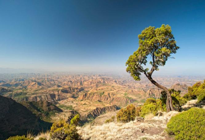 Reise in Äthiopien, Äthiopien: Höhepunkte im Norden