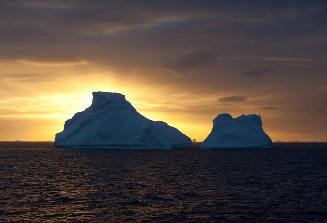 Reise in Antarktis, Kaiserpinguine auf Snow Hill Island, Weddellmeer