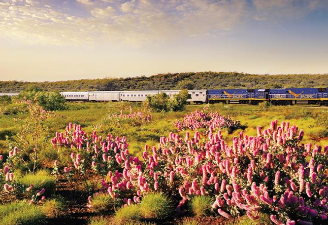 Reise in Australien, The Indian Pacific