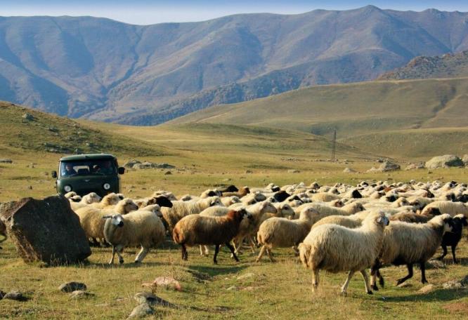 Reise in Armenien, Aufstieg zum Aragats-Nordgipfel