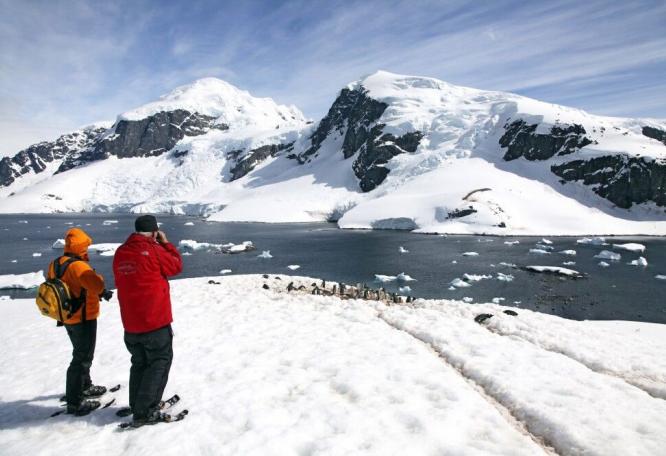 Reise in Antarktis, Schneeschuhtour zur Eselspinguin-Kolonie