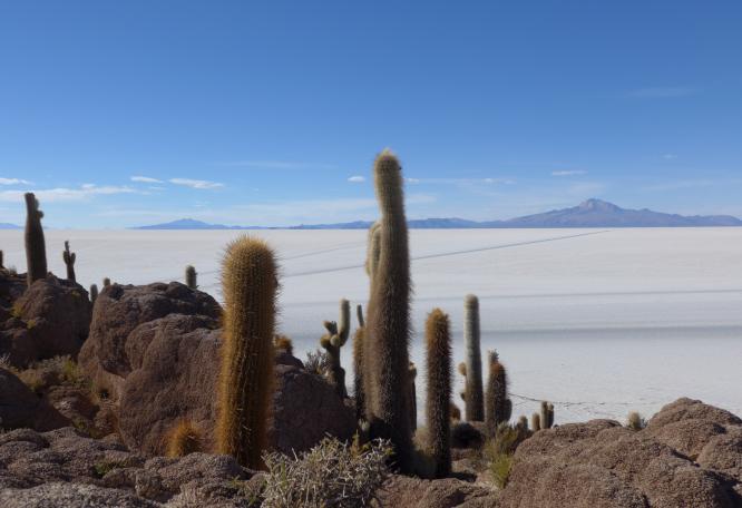 Reise in Bolivien, KVA_Isla_Incahuasi_Kakteen_Berge_3zu2.jpg.jpg