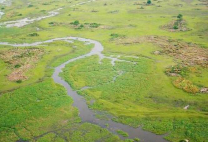Reise in Botswana, Botswana & Simbabwe - Pirsch zu Land und zu Wasser