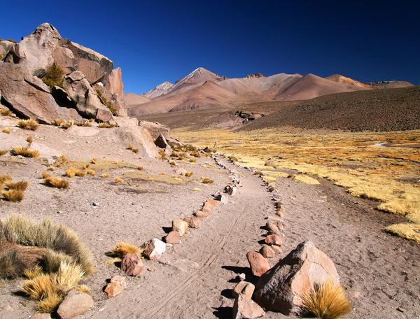 Reise in Chile, Chile - Altiplano, Wüsten und Meer