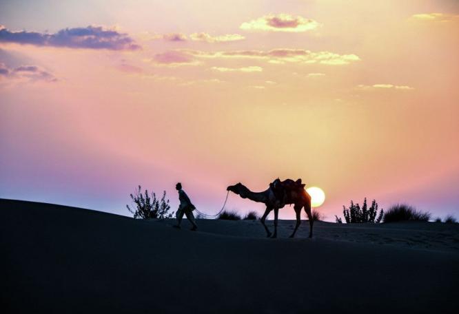 Reise in Indien, Kamelausritt Wüste Thar