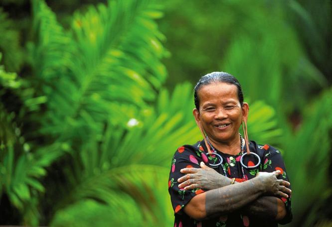 Reise in Malaysia, Orang-Utan im Regenwald von Borneo