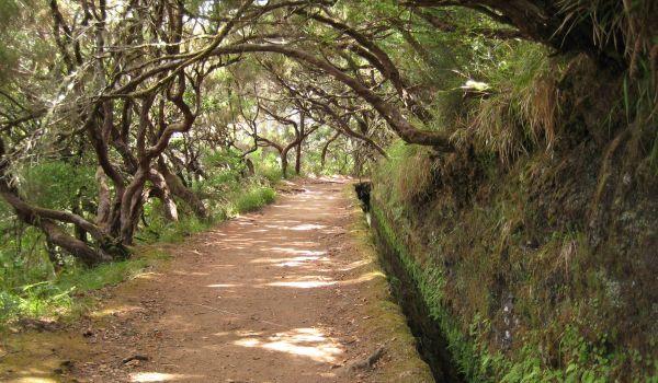 Reise in Portugal, Das Weltkulturerbe Rabacal auf Madeira