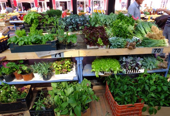 Reise in Albanien, Grüner Gemüse- und Kräuterstand auf dem Markt in Tirana