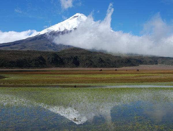 Reise in Ecuador, Ecuador - Kleiner Andenstaat ganz groß!