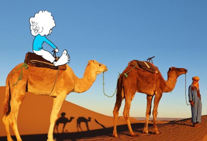 Reise in Marokko, Kamele in der Wüste