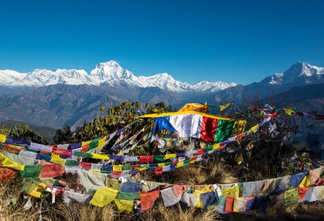Reise in Nepal, Farbkontraste auf dem Poon Hill (3210 m) in der Annapurna-Region