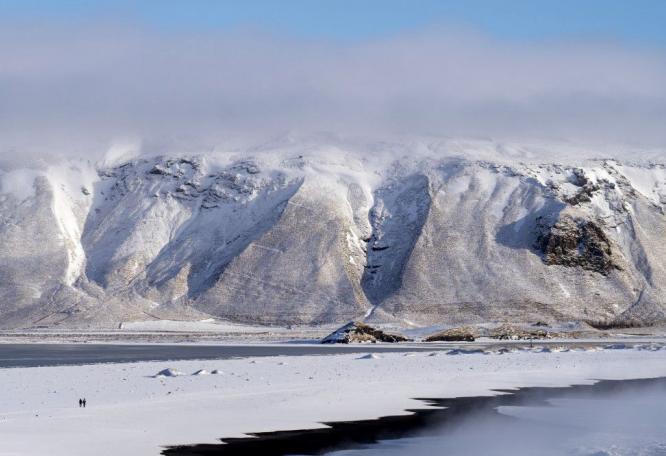 Reise in Island, Islandpferd im Schneesturm