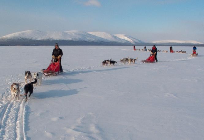 Reise in Finnland, Finnland: Husky-Schlittentour durch die Weite Lapplands (6 Tage Hundeschlittentour (4 Tage mit Huskys)  mit Hüttenübernachtungen)