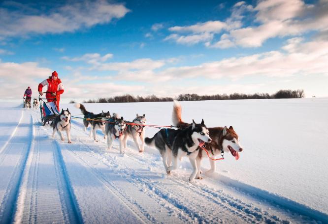 Reise in Finnland, Finnland: Husky- und Winterabenteuer