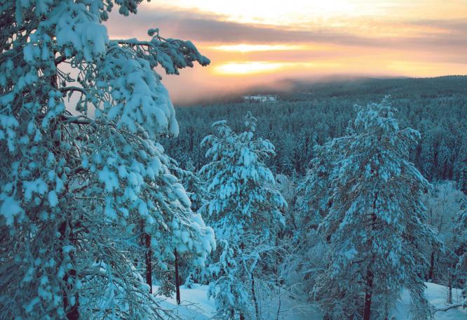 Reise in Finnland, Finnland: Husky- und Winterabenteuer