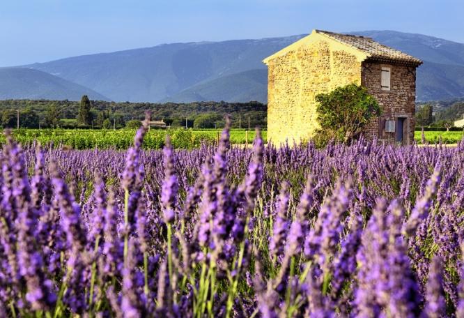 Reise in Frankreich, Frankreich: Provence - Aktiv & genussvoll