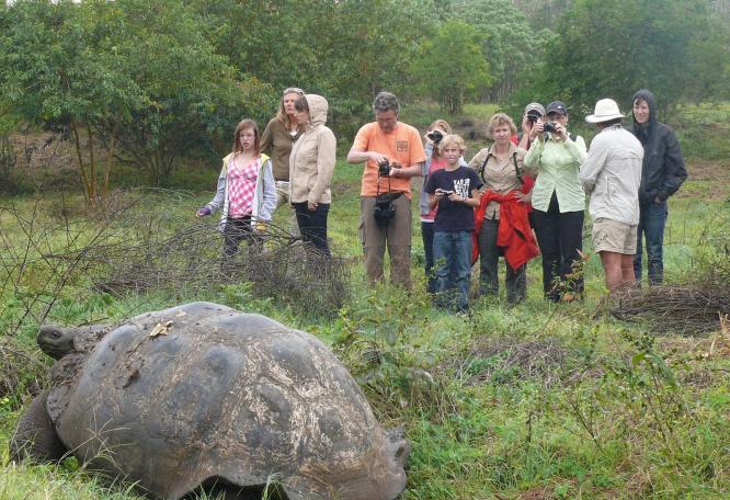 Reise in Ecuador, Reisegruppe hinter einer Galapagos-Riesenschildkröte