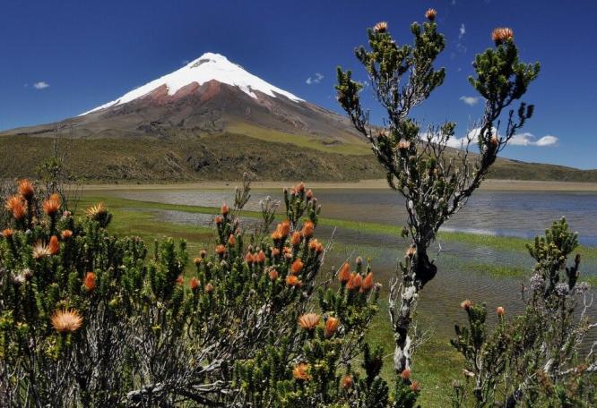 Reise in Ecuador, Weitblick auf den Vulkan Cotopaxi