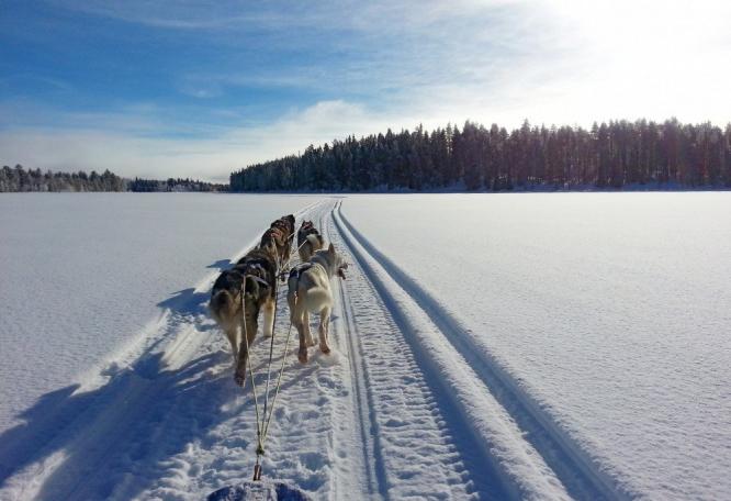 Reise in Schweden, Abend im verschneiten Lappland