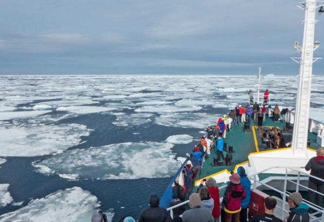 Reise in Spitzbergen, Eisbärbeobachtung vom Zodiac aus