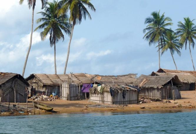 Reise in Elfenbeinküste, Flussufer während einer Bootsfahrt