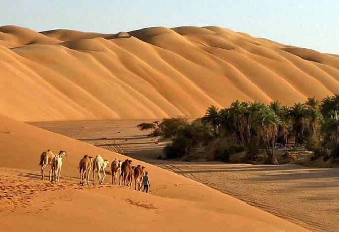 Reise in Mauretanien, Kamelkarawane im Nationalpark Banc d'Arguin