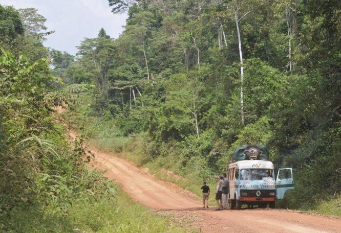 Reise in Kamerun, Dzanga-Sangha-Nationalpark