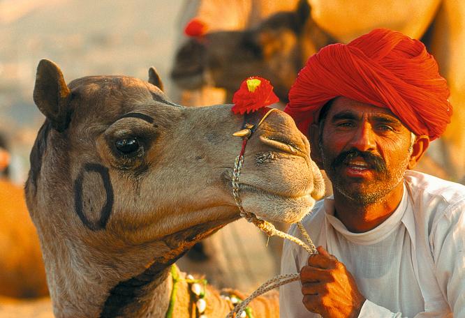 Reise in Indien, Indien：Höhepunkte Rajasthans