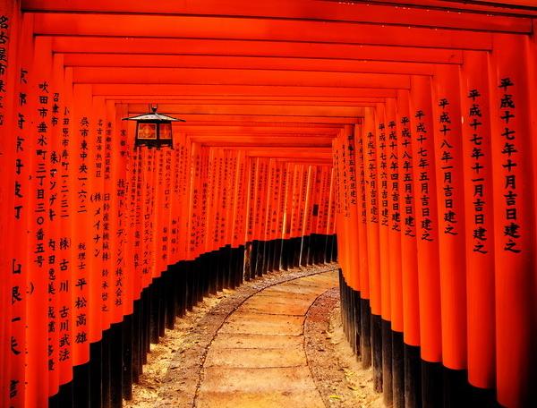 Reise in Japan, Japan - Von Geishas, Samurai & Sushi