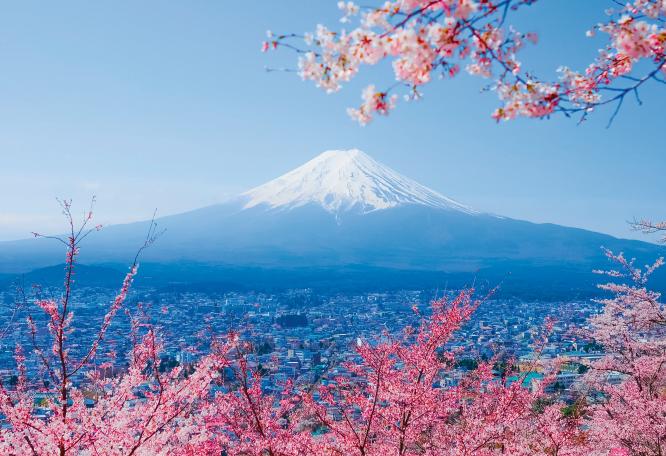 Reise in Japan, Japan: Die ausführliche Reise