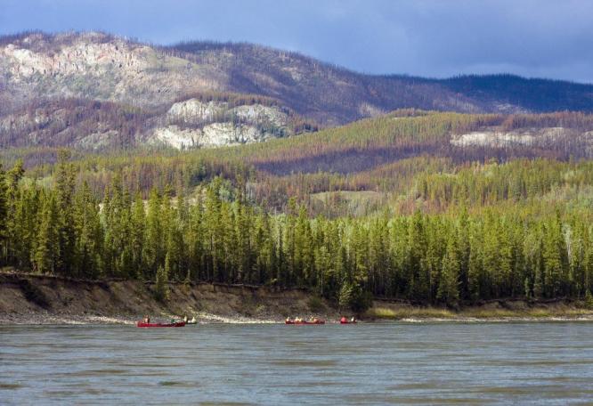 Reise in Kanada, Kanus auf dem Yukon