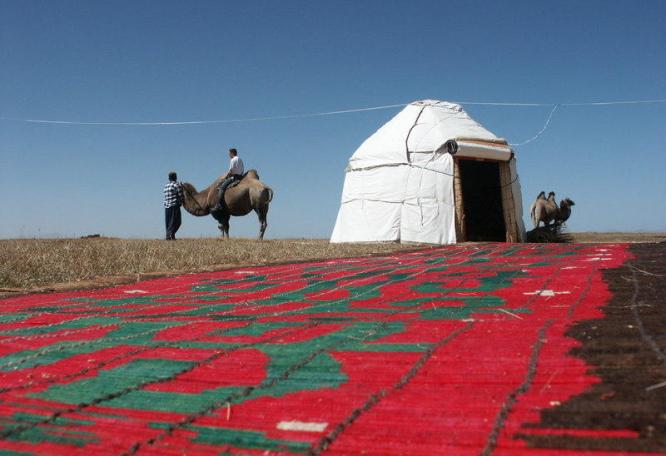 Reise in Usbekistan, Kirgisistan und Usbekistan: Walnusswald & Grassteppen