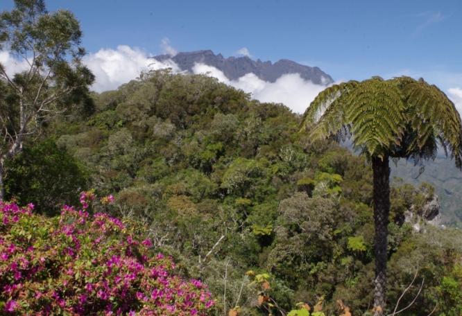 Reise in Réunion, La Réunion - Reise: Trekkingtour auf der farbenfrohen Insel der Vanille (Reiseleiters Liebling: 17 Tage La Réunion mit Mario Hecktor)