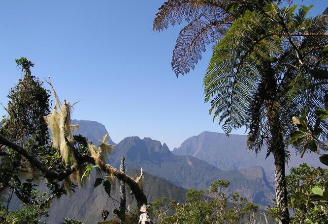 Reise in Réunion, Geführte Rundreise mit Wandern Reunion Alpinschule Innsbruck