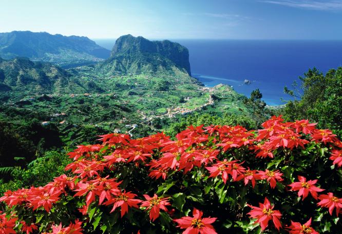 Reise in Portugal, Madeira: Impressionen