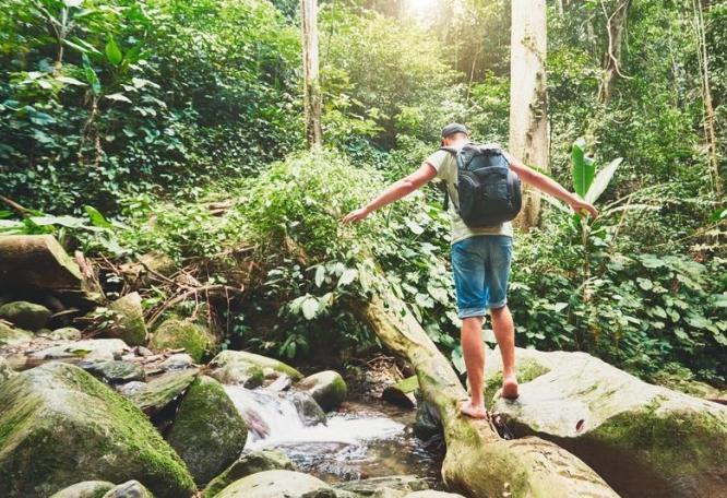 Reise in Malaysia, Im Regenwald wird auch über Stock und Stein gewandert