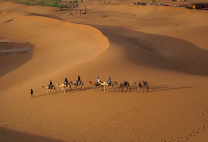 Reise in Marokko, Marokko - Wüstenwunder und Sternstunden aus 1001 Nacht (10 Tage Kameltrekking in der Wüste Südmarokkos)