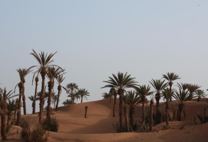 Reise in Marokko, Marokko - Wüstenwunder und Sternstunden aus 1001 Nacht