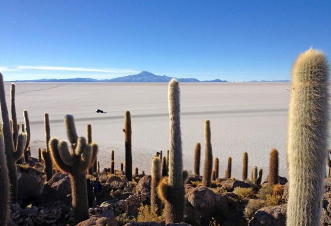 Reise in Bolivien, Salar de Uyuni