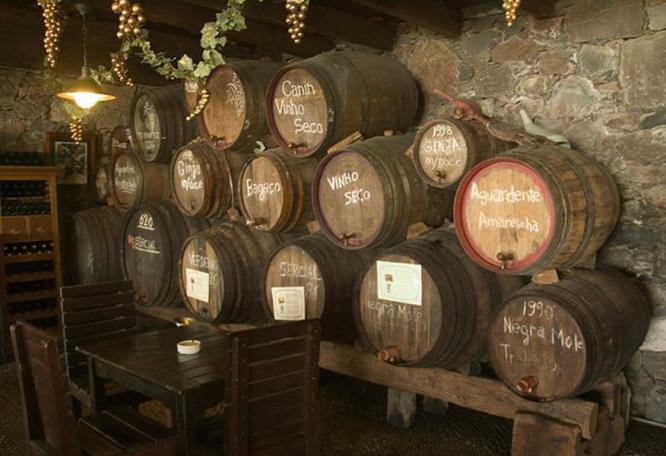 Reise in Portugal, Wein in der Quinta do Estreito auf Madeira