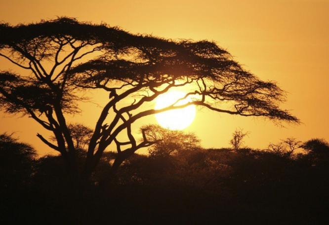 Reise in Tansania, Landschaft am Mount Meru