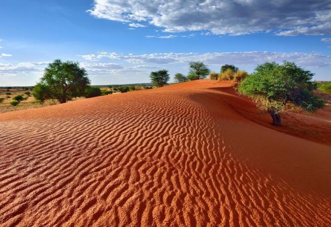 Reise in Namibia, Namibia - Best of Nature